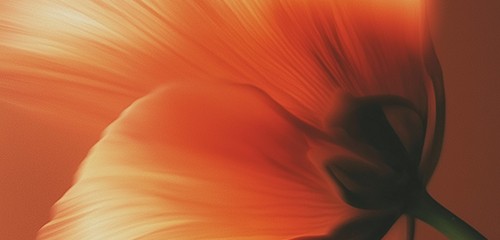 About Image
